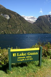 lake gunn